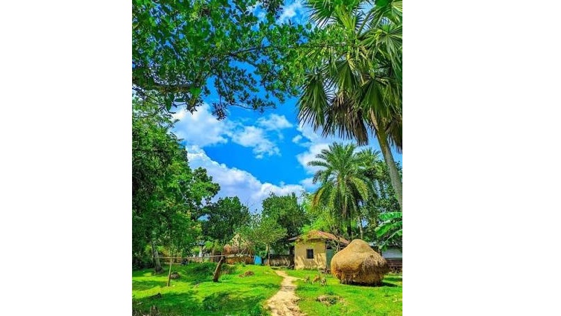  ‘গাছ গোনার দিন’